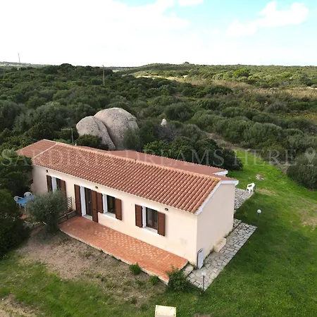 Meraviglia A 100 M Dalla *