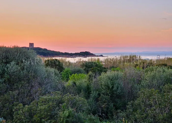 Meraviglia A 100 M Dalla Vignola Mare